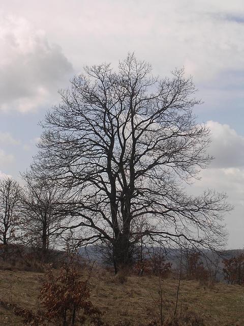 A képhez tartozó alt jellemző üres; 20241018_101325.jpg a fájlnév