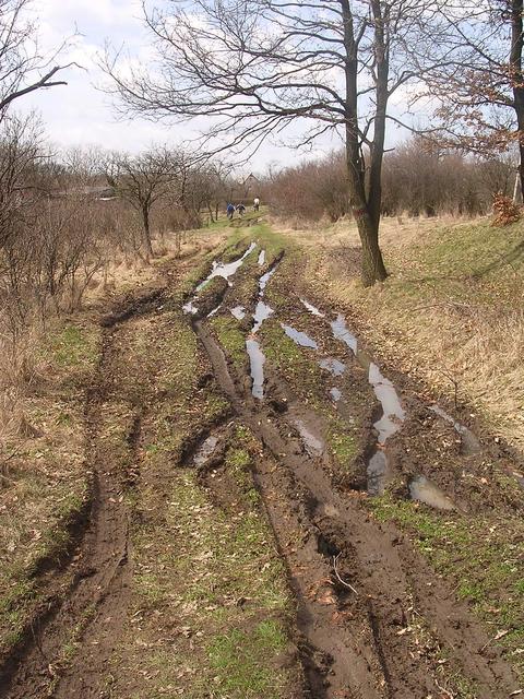 A képhez tartozó alt jellemző üres; 20241018_101325.jpg a fájlnév