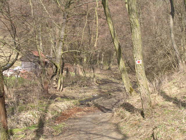 A képhez tartozó alt jellemző üres; 20241018_101325.jpg a fájlnév