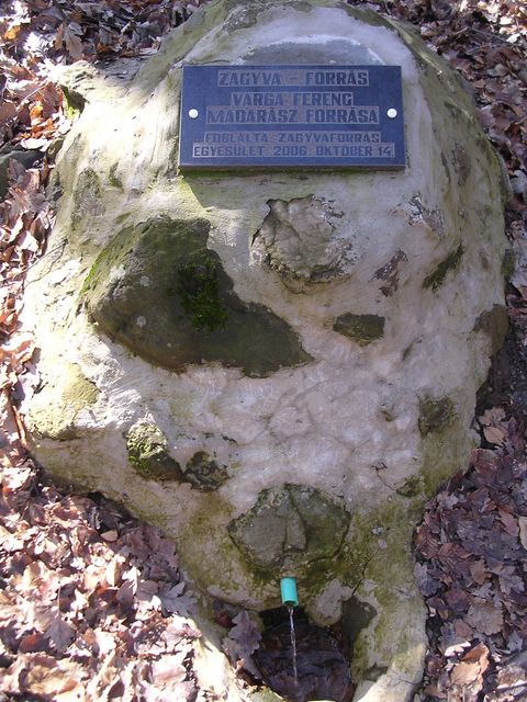 A képhez tartozó alt jellemző üres; 20241018_101325.jpg a fájlnév