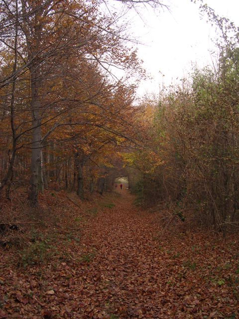 A képhez tartozó alt jellemző üres; 20241018_101325.jpg a fájlnév