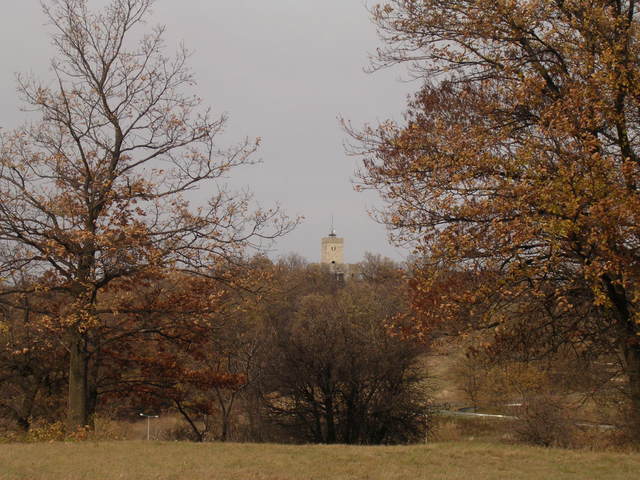 A képhez tartozó alt jellemző üres; 20241018_101325.jpg a fájlnév