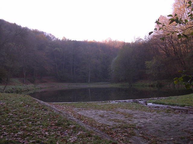 A képhez tartozó alt jellemző üres; 20241018_101325.jpg a fájlnév