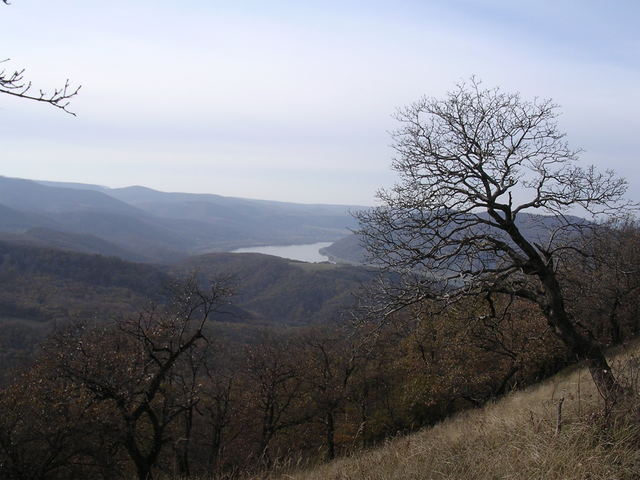 A képhez tartozó alt jellemző üres; 20241018_101325.jpg a fájlnév