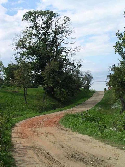 A képhez tartozó alt jellemző üres; 20241018_101325.jpg a fájlnév