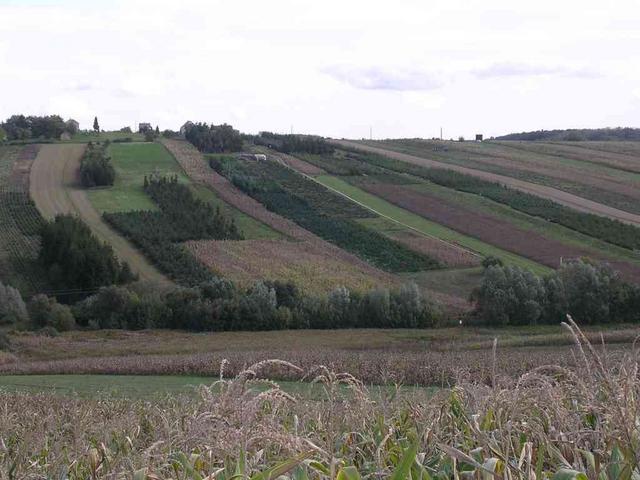 A képhez tartozó alt jellemző üres; 20241018_101325.jpg a fájlnév