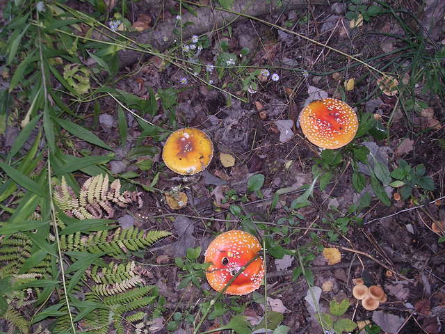 A képhez tartozó alt jellemző üres; 20241018_101325.jpg a fájlnév