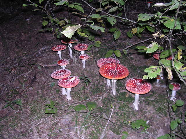 A képhez tartozó alt jellemző üres; 20241018_101325.jpg a fájlnév