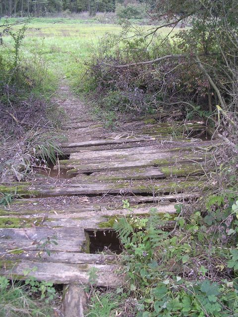 A képhez tartozó alt jellemző üres; 20241018_101325.jpg a fájlnév