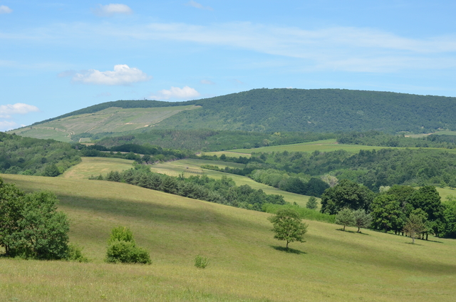A képhez tartozó alt jellemző üres; 20241018_101325.jpg a fájlnév
