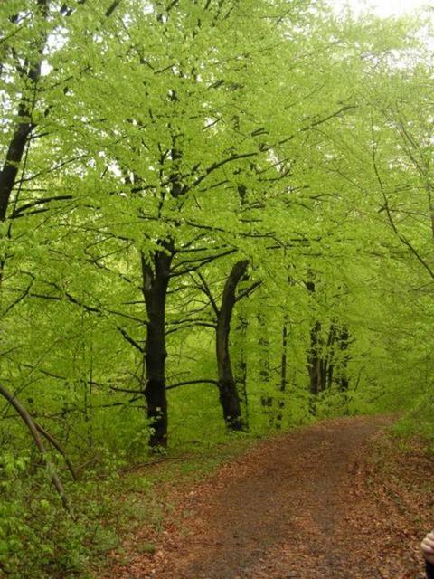 A képhez tartozó alt jellemző üres; 20241018_101325.jpg a fájlnév