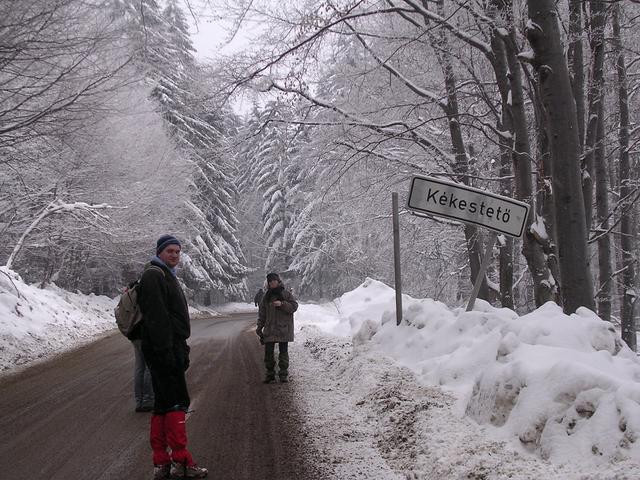 A képhez tartozó alt jellemző üres; 20241018_101325.jpg a fájlnév