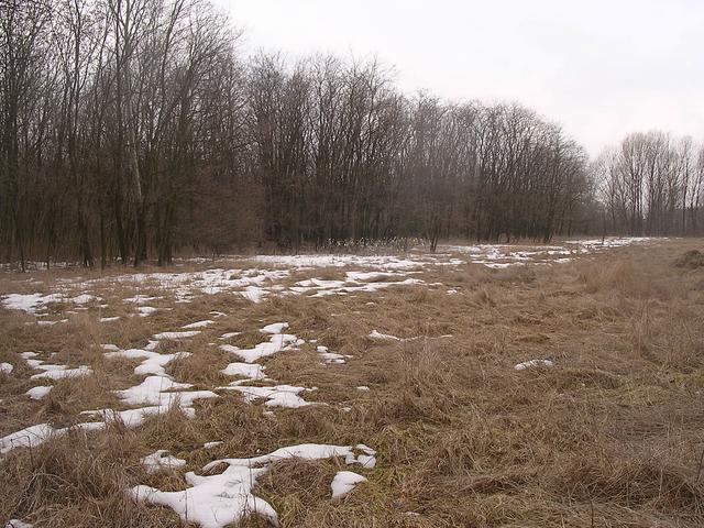 A képhez tartozó alt jellemző üres; 20241018_101325.jpg a fájlnév