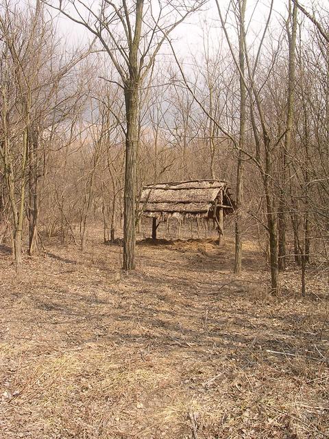 A képhez tartozó alt jellemző üres; 20241018_101325.jpg a fájlnév