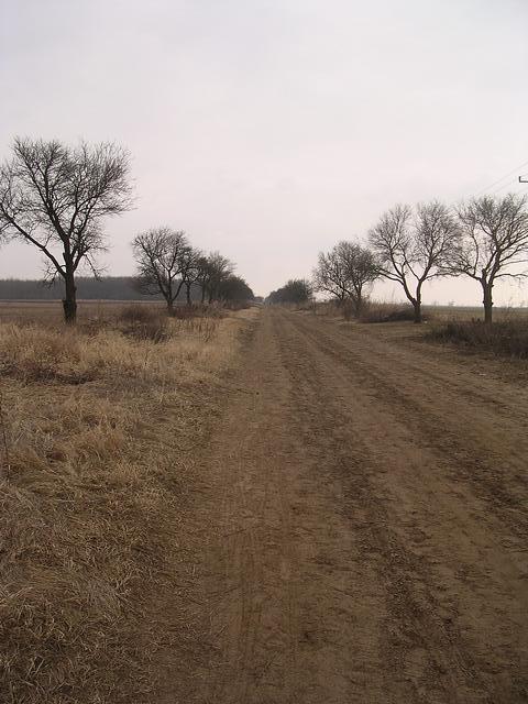 A képhez tartozó alt jellemző üres; 20241018_101325.jpg a fájlnév