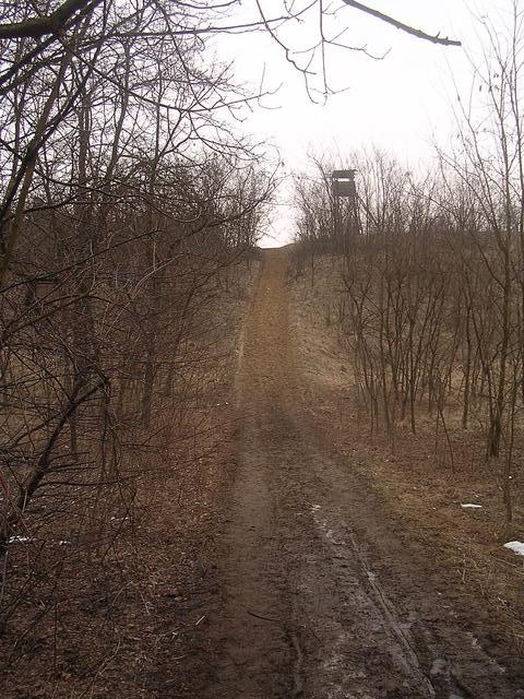 A képhez tartozó alt jellemző üres; 20241018_101325.jpg a fájlnév