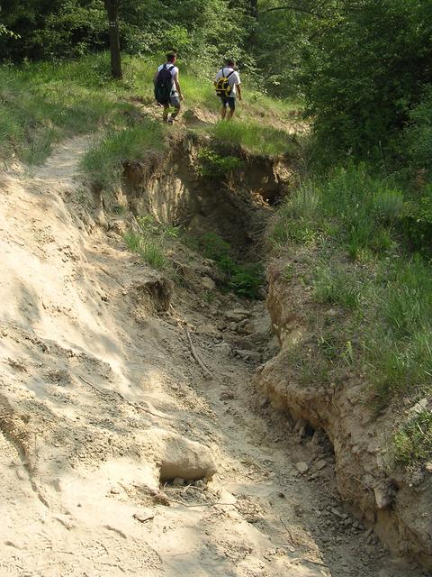 A képhez tartozó alt jellemző üres; 20241018_101325.jpg a fájlnév