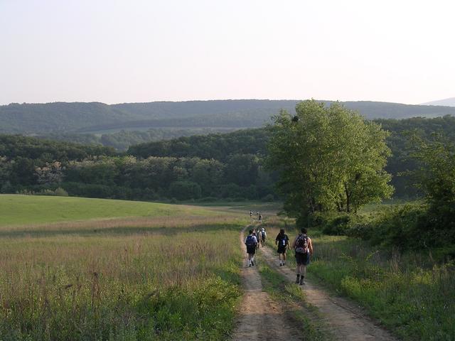 A képhez tartozó alt jellemző üres; 20241018_101325.jpg a fájlnév