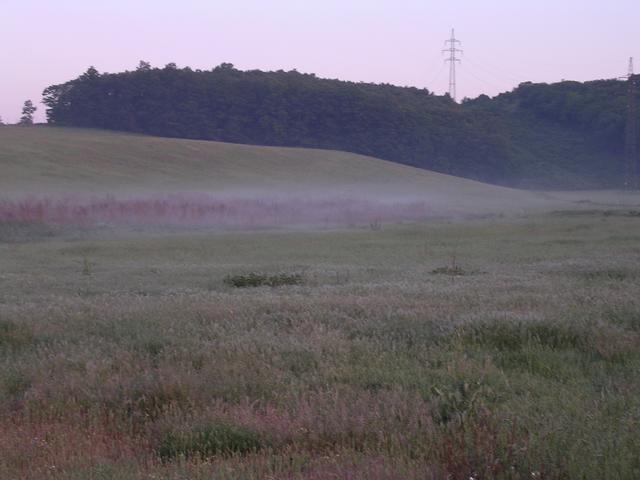 A képhez tartozó alt jellemző üres; 20241018_101325.jpg a fájlnév