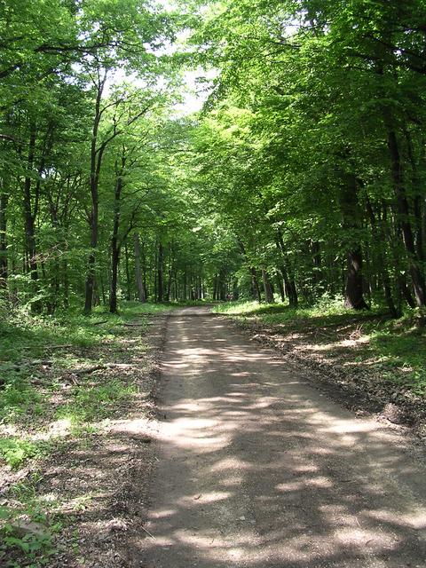 A képhez tartozó alt jellemző üres; 20241018_101325.jpg a fájlnév