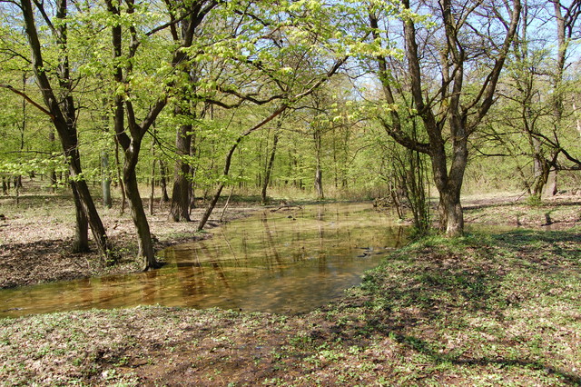 A képhez tartozó alt jellemző üres; 20241018_101325.jpg a fájlnév