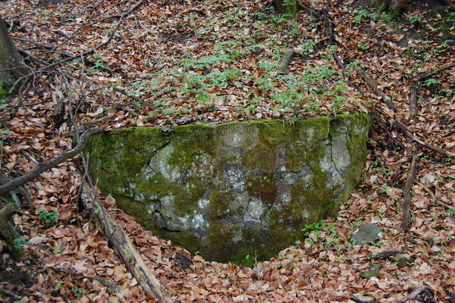 A képhez tartozó alt jellemző üres; 20241018_101325.jpg a fájlnév