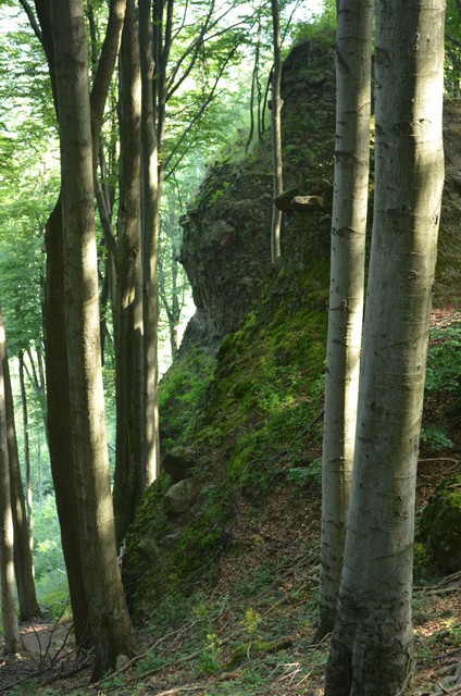 A képhez tartozó alt jellemző üres; 20241018_101325.jpg a fájlnév