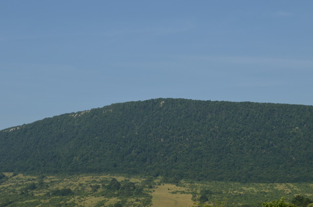 A képhez tartozó alt jellemző üres; 20241018_101325.jpg a fájlnév