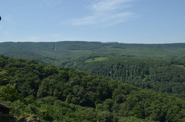 A képhez tartozó alt jellemző üres; 20241018_101325.jpg a fájlnév