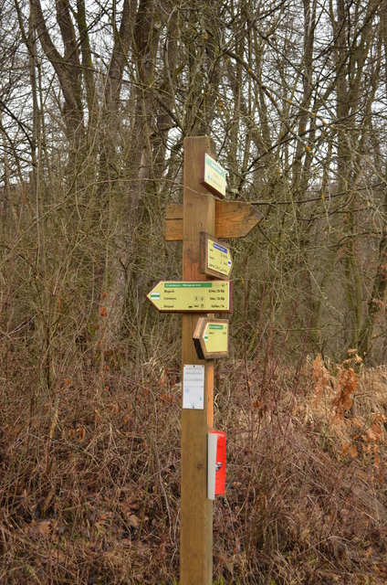 A képhez tartozó alt jellemző üres; 20241018_101325.jpg a fájlnév