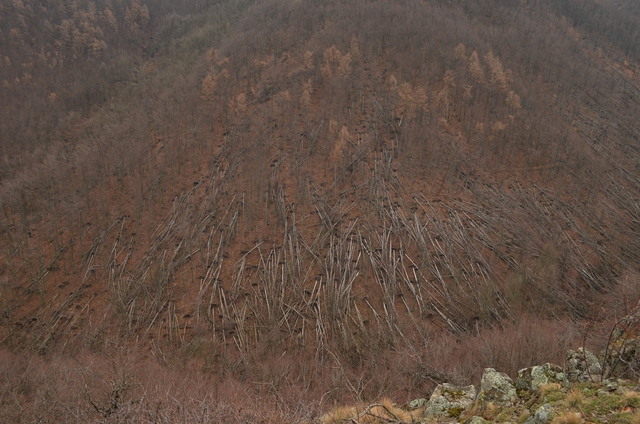 A képhez tartozó alt jellemző üres; 20241018_101325.jpg a fájlnév
