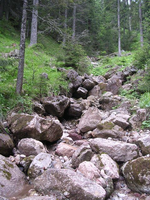 A képhez tartozó alt jellemző üres; 20241018_101325.jpg a fájlnév