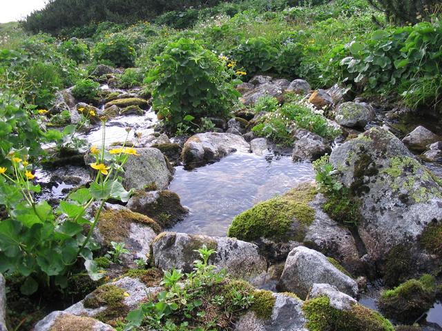 A képhez tartozó alt jellemző üres; 20241018_101325.jpg a fájlnév