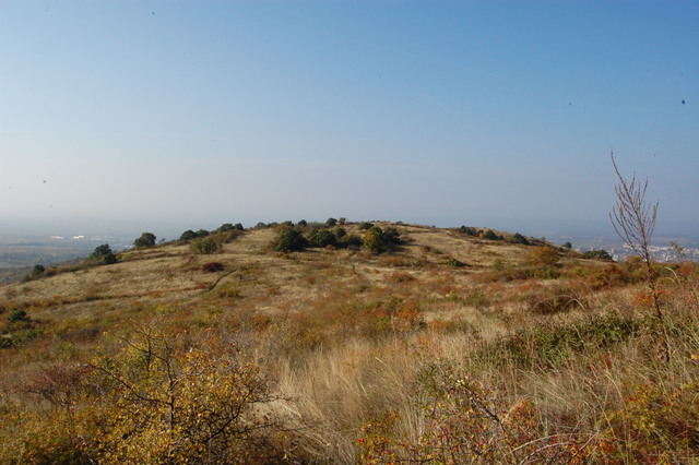 A képhez tartozó alt jellemző üres; 20241018_101325.jpg a fájlnév