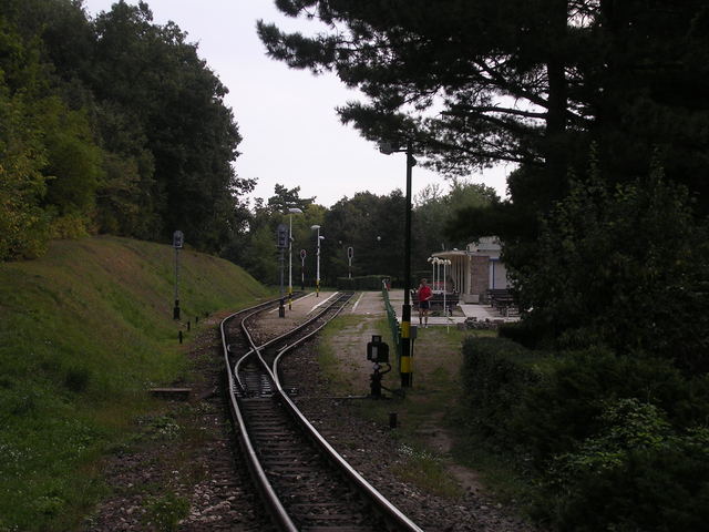 A képhez tartozó alt jellemző üres; 20241018_101325.jpg a fájlnév