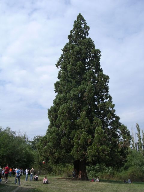 A képhez tartozó alt jellemző üres; 20241018_101325.jpg a fájlnév