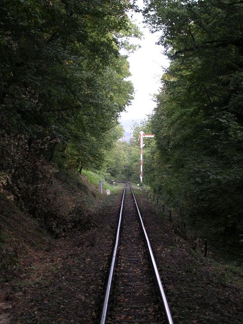 A képhez tartozó alt jellemző üres; 20241018_101325.jpg a fájlnév