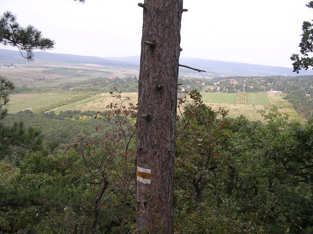 A képhez tartozó alt jellemző üres; 20241018_101325.jpg a fájlnév