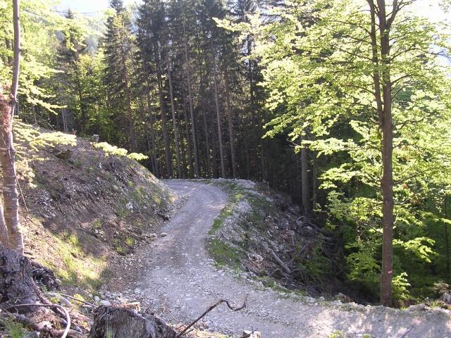 A képhez tartozó alt jellemző üres; 20241018_101325.jpg a fájlnév