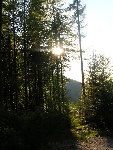 A képhez tartozó alt jellemző üres; 20241018_101325.jpg a fájlnév