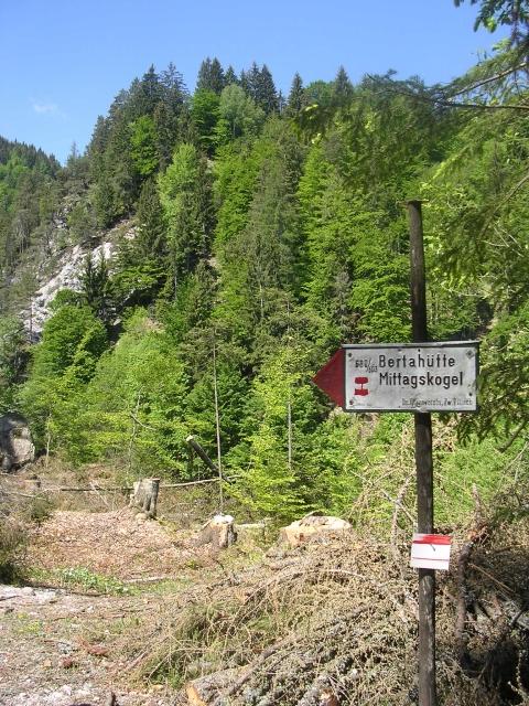 A képhez tartozó alt jellemző üres; 20241018_101325.jpg a fájlnév