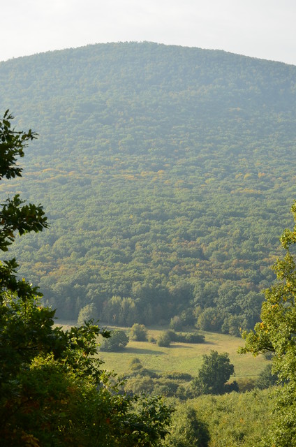 A képhez tartozó alt jellemző üres; 20241018_101325.jpg a fájlnév