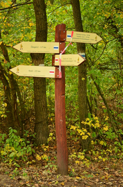 A képhez tartozó alt jellemző üres; 20241018_101325.jpg a fájlnév