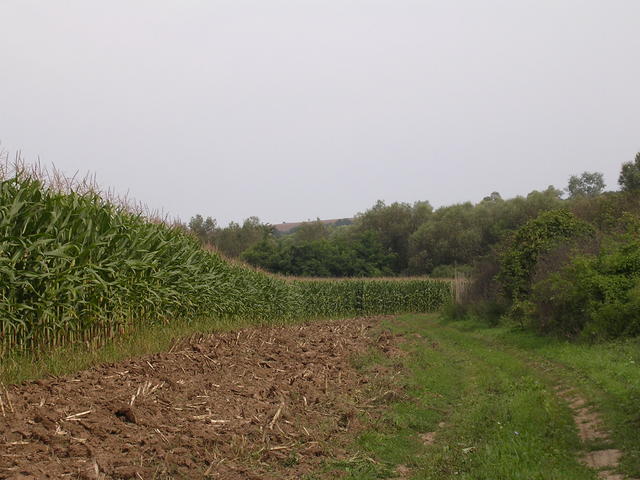 A képhez tartozó alt jellemző üres; 20241018_101325.jpg a fájlnév