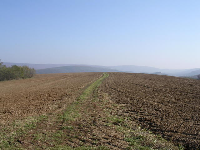 A képhez tartozó alt jellemző üres; 20241018_101325.jpg a fájlnév