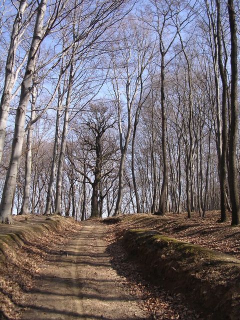 A képhez tartozó alt jellemző üres; 20241018_101325.jpg a fájlnév
