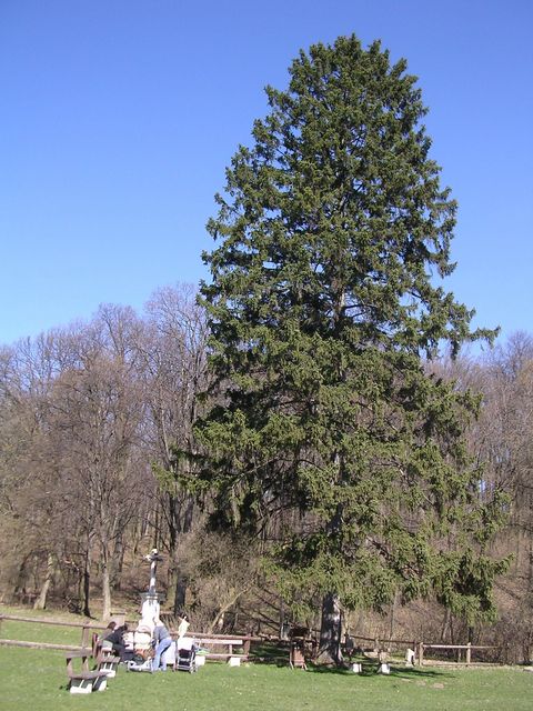 A képhez tartozó alt jellemző üres; 20241018_101325.jpg a fájlnév