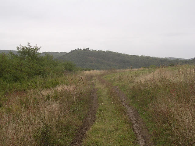 A képhez tartozó alt jellemző üres; 20241018_101325.jpg a fájlnév