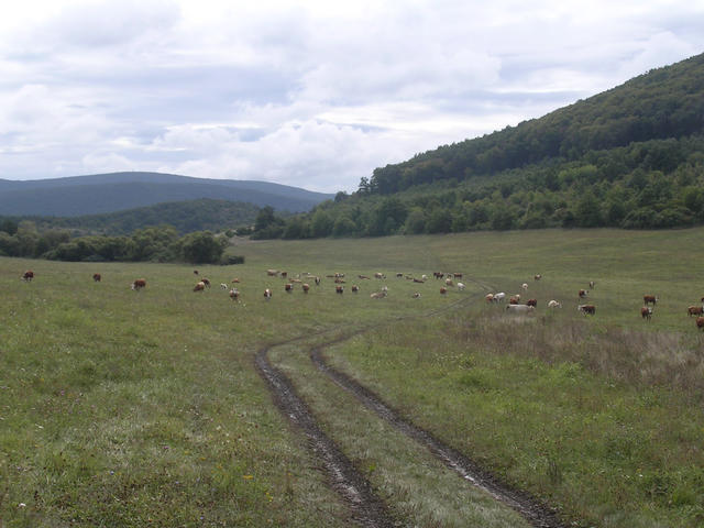 A képhez tartozó alt jellemző üres; 20241018_101325.jpg a fájlnév