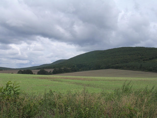 A képhez tartozó alt jellemző üres; 20241018_101325.jpg a fájlnév